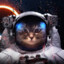 NASA_Cat