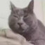 Ashley_7501
