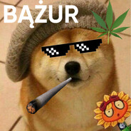 Żuver_bratek