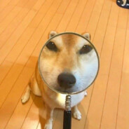 不驕不躁-随薪锁欲