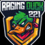 RagingDuck221