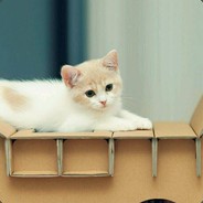 Lv_Ainio