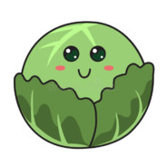 Cabbage