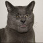 Egor K.