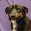 r u fakin serius in mah eyes?