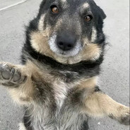 сынтиктока