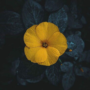 0105