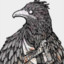 Huginn