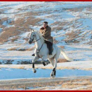 梦yi大师杨某某