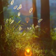 哇！出来搞事！