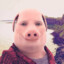 John Pork