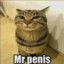 Mr/Penis