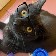 Tacticalistic The Retired