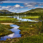 理月最強伝説と絶兇の猛虎!