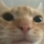philip's avatar