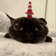 Amazingo
