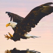 B       I        GXANTARES