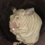 Bartholomew Quandarious Jones II's Avatar