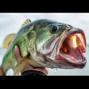 big bass hulk