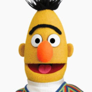 Bert