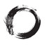 Enso