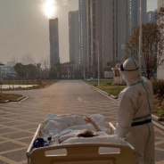 你休想战胜超级驼鹿