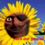 Pootis_gaming