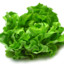 Lettuce