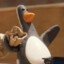 Feathers Mcgraw