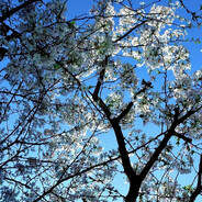 你说话有股孩子气