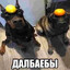 240.qpapanya
