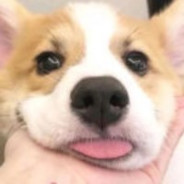 欲买桂花同载酒