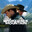 brokeback mountain