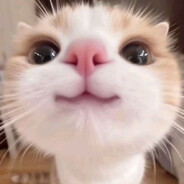 gnntl^^