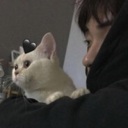 纯情火焰暴龙王子