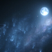 屑鱼真的打不过