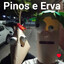 Pinos e Ervas