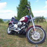 mr MO! - steam id 76561197961865249