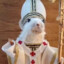 Rat Priest