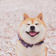 阿拖不拖
