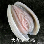 警惕队友大残骗局