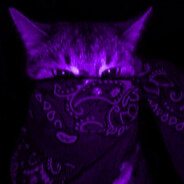 ツ𝖘𝖕𝖑𝖎𝖝ツ