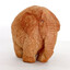 cocofante elefante