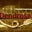 dendrose