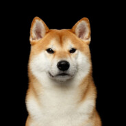 Shibe