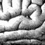 axiomatic