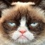 GrumpyCat