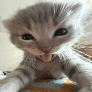 Лучизарие Sun