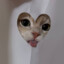 Dimi_Try