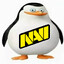 Pingvi